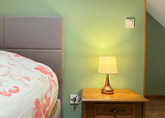 L'ecole Buissonniere - Complex - Collection La 21eme Planche