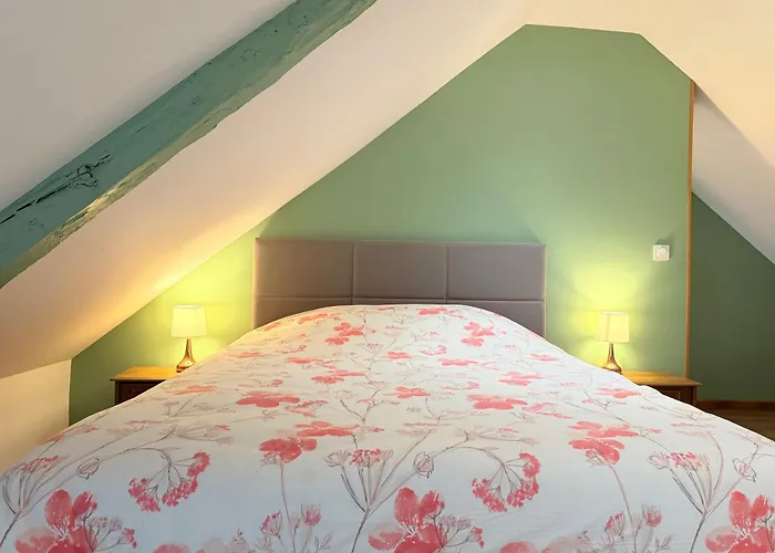 L'ecole Buissonniere - Complex - Collection La 21eme Planche